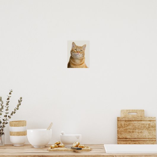 Ginger cat groene ogen poster (Keuken)