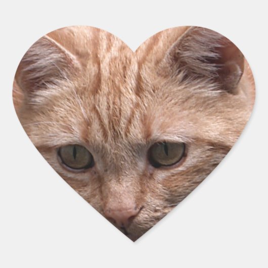 Ginger Cat Heart Shaped Sticker (Voorkant)
