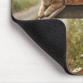 Ginger Cat in een roestige brievenbus Muismat (Hoek)