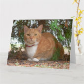Ginger Cat Kaart (Gele Bloem)