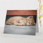 GINGER CAT KITTEN SLEEPING BIRTHDAY WENSKAART KAART (Gele Bloem)