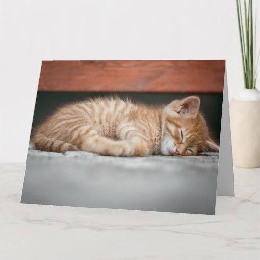 GINGER CAT KITTEN SLEEPING BIRTHDAY WENSKAART KAART (Voorkant)