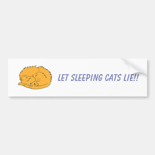 Ginger Cat Let Slapende Cats Le Bumpersticker (Voorkant)