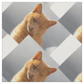 Ginger cat Merlin Stof (Close Up)