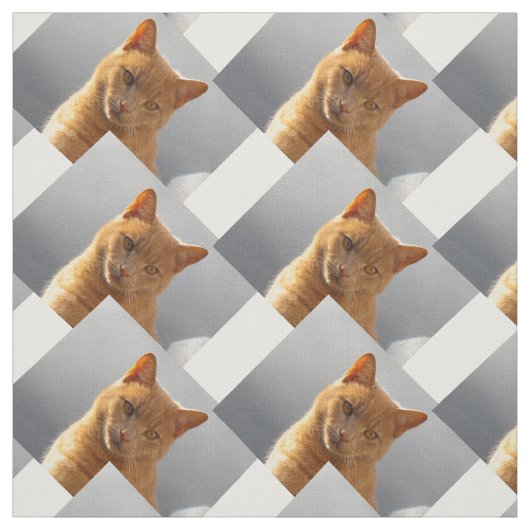Ginger cat Merlin Stof (Swatch)