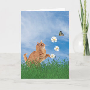 Ginger Cat met Daisy Birthday Kaart