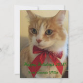 Ginger Cat met rood lint Kerstmis Feestdagenkaart (Voorkant)
