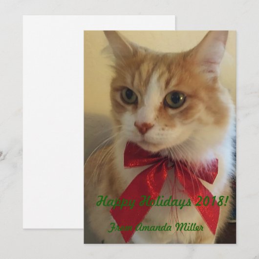 Ginger Cat met rood lint Kerstmis Feestdagenkaart (Voorkant / Achterkant)