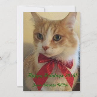 Ginger Cat met rood lint Kerstmis Feestdagenkaart