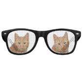 GINGER CAT NOVELTY SUNGLASSEN SHADES RETRO ZONNEBRIL