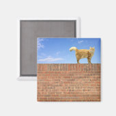 Ginger Cat op Brick Wall Magneet (Voorkant / Achterkant)