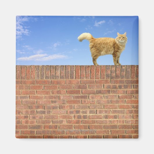 Ginger Cat op Brick Wall Magneet (Voorkant)