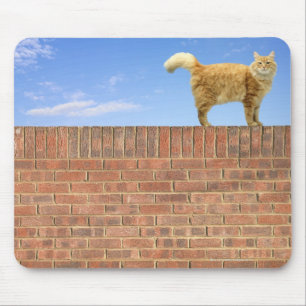 Ginger Cat op Brick Wall Muismat
