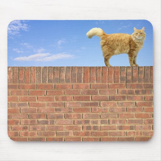 Ginger Cat op Brick Wall Muismat (Voorkant)