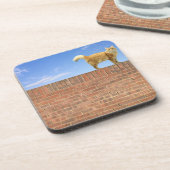 Ginger Cat op Brick Wall Onderzetter (Linkerzijde)