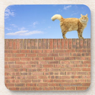 Ginger Cat op Brick Wall Onderzetter
