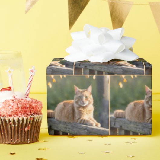 Ginger Cat op een rustiek hek Cadeaupapier (Verjaardagsfeest)