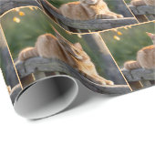 Ginger Cat op een rustiek hek Cadeaupapier (Rol Hoek)