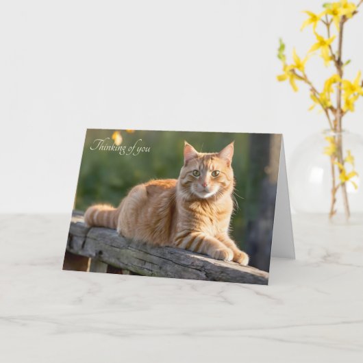 Ginger Cat op een rustiek hek Kaart (Gele Bloem)
