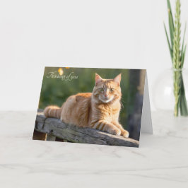 Ginger Cat op een rustiek hek Kaart