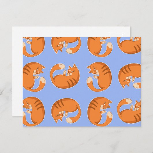 Ginger Cat Pattern Briefkaart (Voorkant / Achterkant)