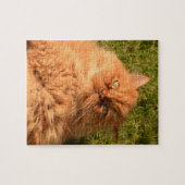 GINGER CAT PERSIAN JIGSAW Puzzle Legpuzzel (Horizontaal)