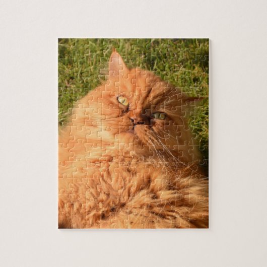 GINGER CAT PERSIAN JIGSAW Puzzle Legpuzzel (Verticaal)