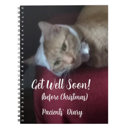 Ginger Cat Photo Get Well Soon , Spiral Notitieboek (Voorkant)