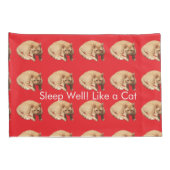 Ginger Cat Photo Humor Text Blue Red  Kussensloop (Achterkant-Rechts)