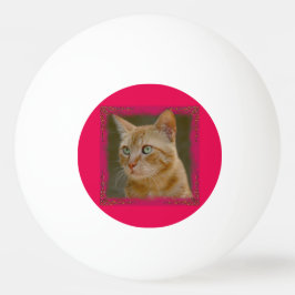 Ginger Cat Ping Pong Ball