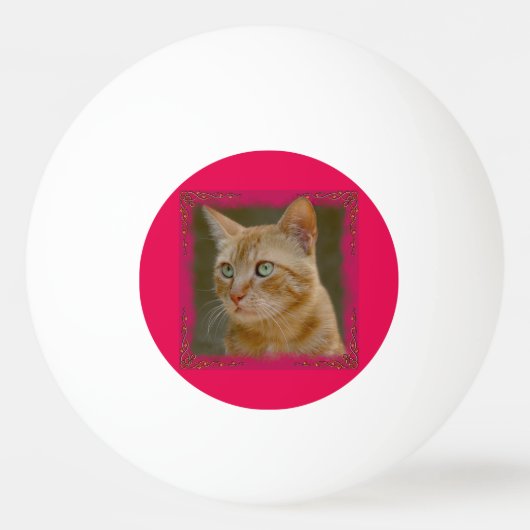 Ginger Cat Ping Pong Ball (Voorkant)