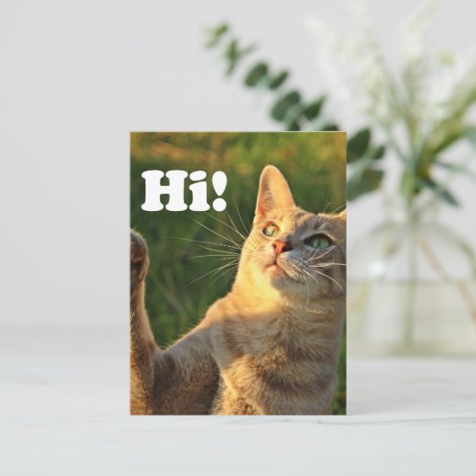 Ginger Cat Saying Hi! Briefkaart (Staand voorkant)