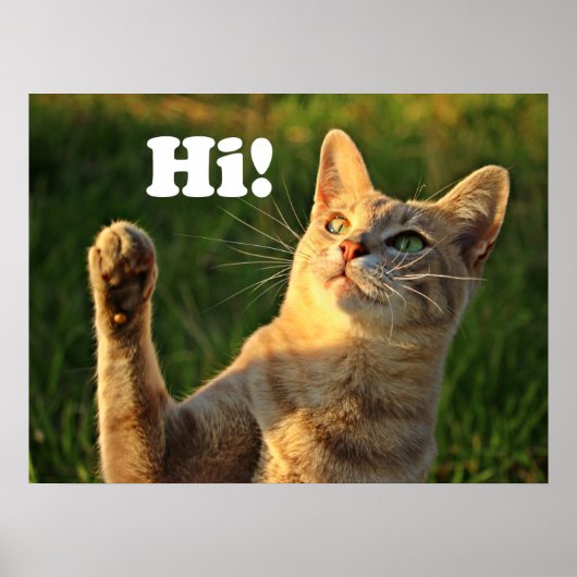 Ginger Cat Saying Hi! Poster (Voorkant)