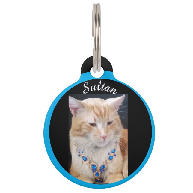 Ginger Cat ,Sieraden, Naam en Foto aanpassen, Huisdierpenning (Voorkant)