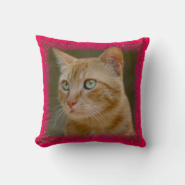 Ginger Cat Sierkussen