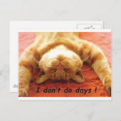 Ginger Cat T shirt, ik doe geen dagen Briefkaart (Voorkant / Achterkant)