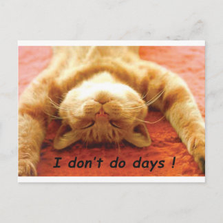 Ginger Cat T shirt, ik doe geen dagen Briefkaart