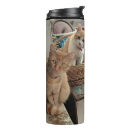 Ginger Cat thermische tumbler Thermosbeker