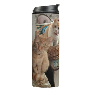 Ginger Cat thermische tumbler Thermosbeker