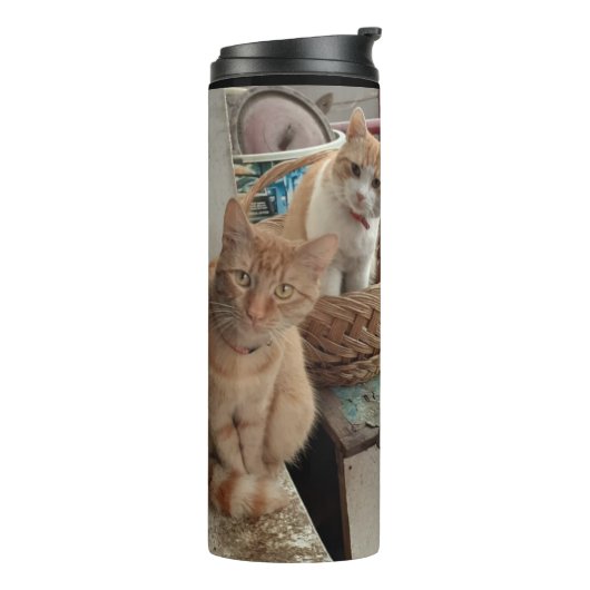 Ginger Cat thermische tumbler Thermosbeker (Gedraaid links)