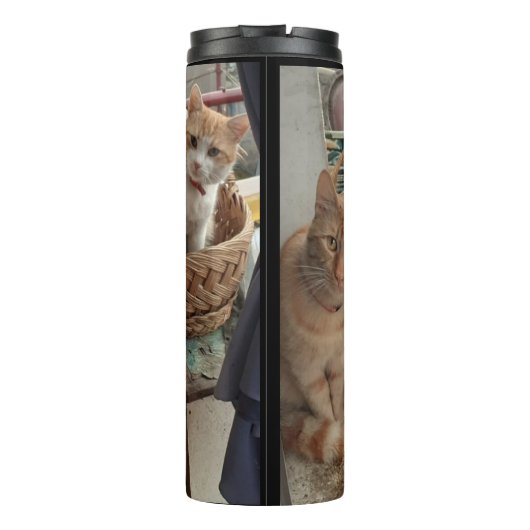 Ginger Cat thermische tumbler Thermosbeker (Achterkant)