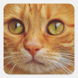 Ginger Cat Vierkante Stickers - Glossy