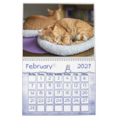 Ginger Cat Wall Agenda 2022 Kalender (Feb 2027)