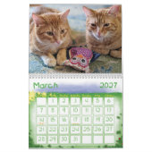 Ginger Cat Wall Agenda 2022 Kalender (Mar 2027)