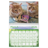 Ginger Cat Wall Agenda 2022 Kalender (Mar 2026)