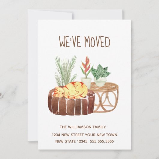 Ginger Cat We hebben een bewegende aankondiging (Voorkant)