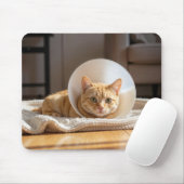 Ginger Cat Wearing a Cone of Shame Muismat (Met muis)
