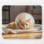 Ginger Cat Wearing a Cone of Shame Muismat (Voorkant)