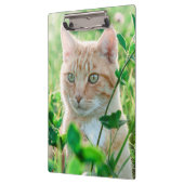 Ginger Cat with Green Eyes in Grass Klembord (Links)