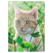 Ginger Cat with Green Eyes in Grass Klembord (Achterkant)